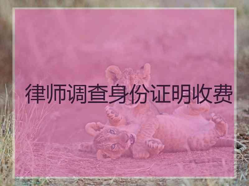 律师调查身份证明收费