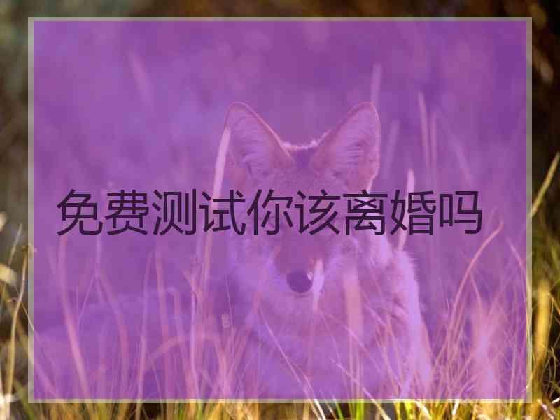 免费测试你该离婚吗