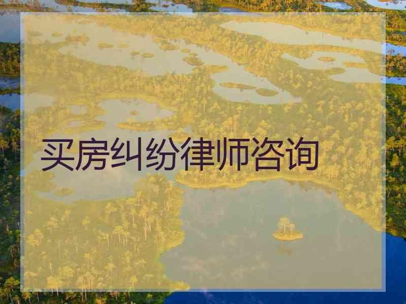 买房纠纷律师咨询