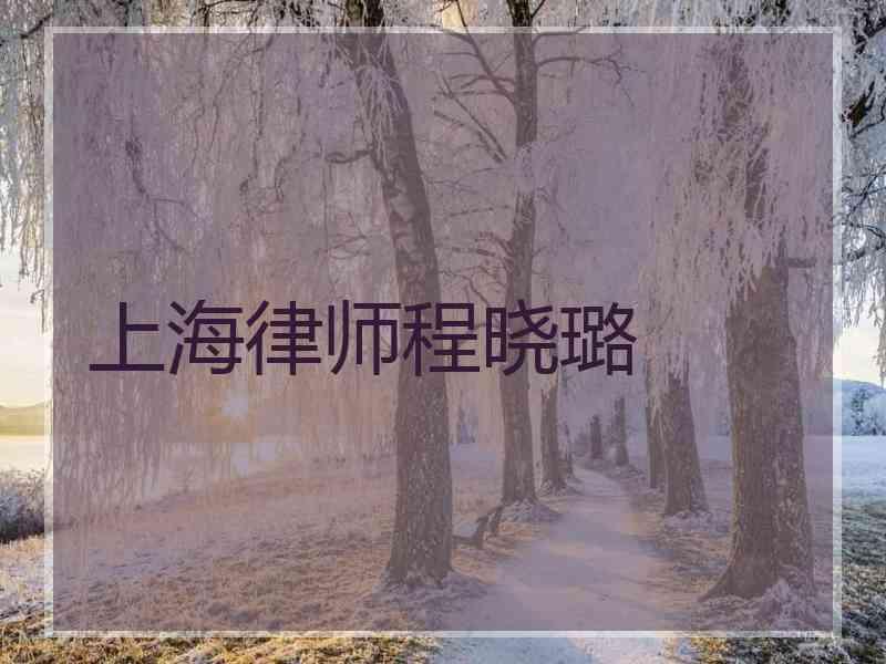 上海律师程晓璐