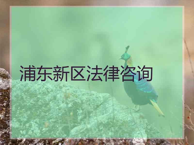 浦东新区法律咨询