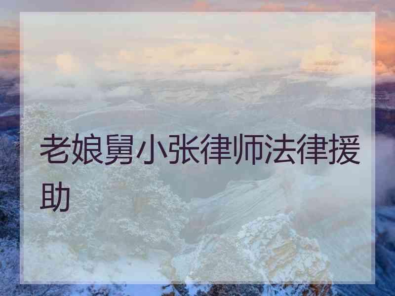 老娘舅小张律师法律援助