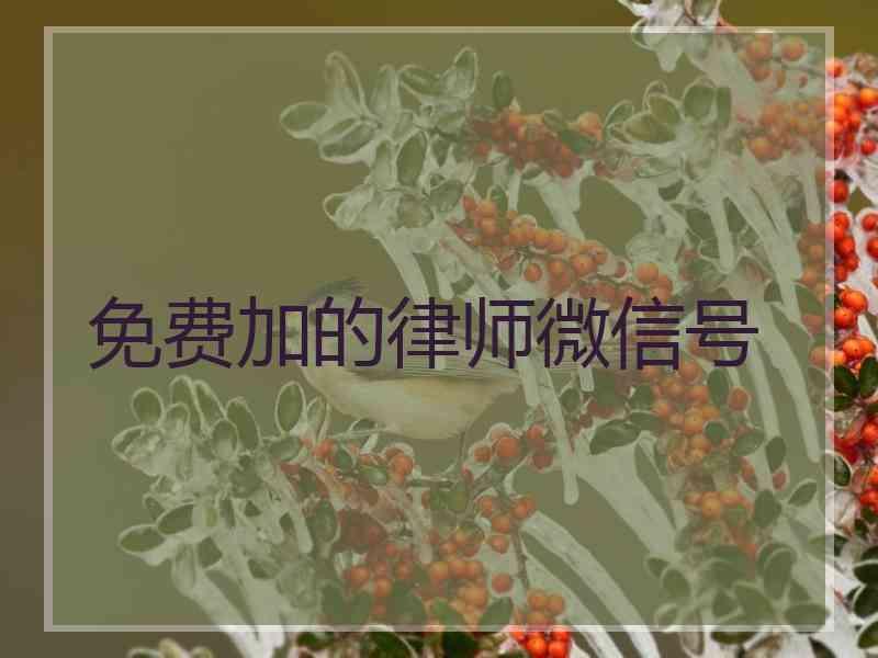 免费加的律师微信号