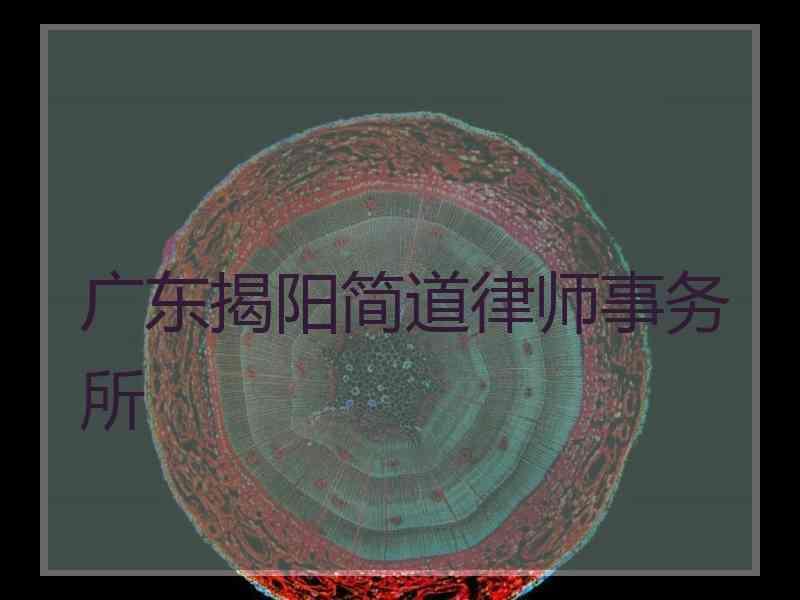 广东揭阳简道律师事务所