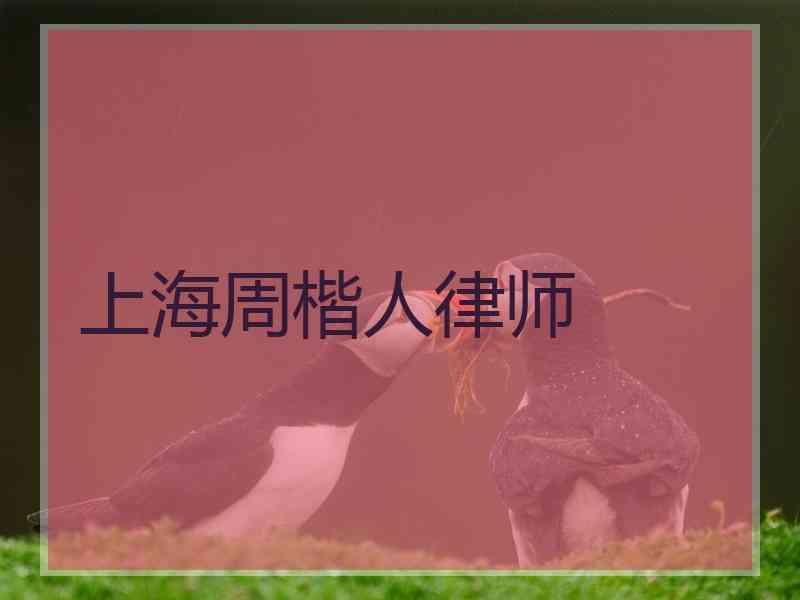 上海周楷人律师