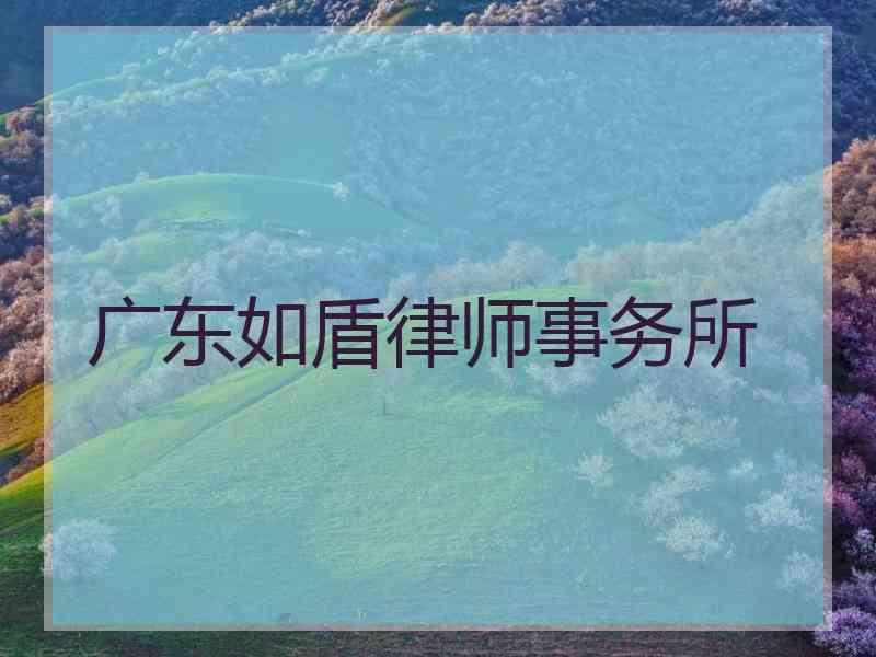 广东如盾律师事务所