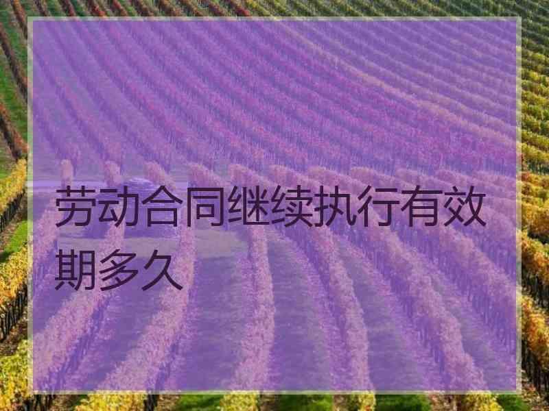 劳动合同继续执行有效期多久