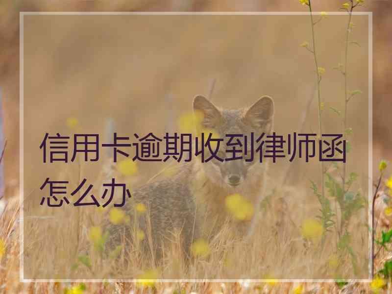 信用卡逾期收到律师函怎么办