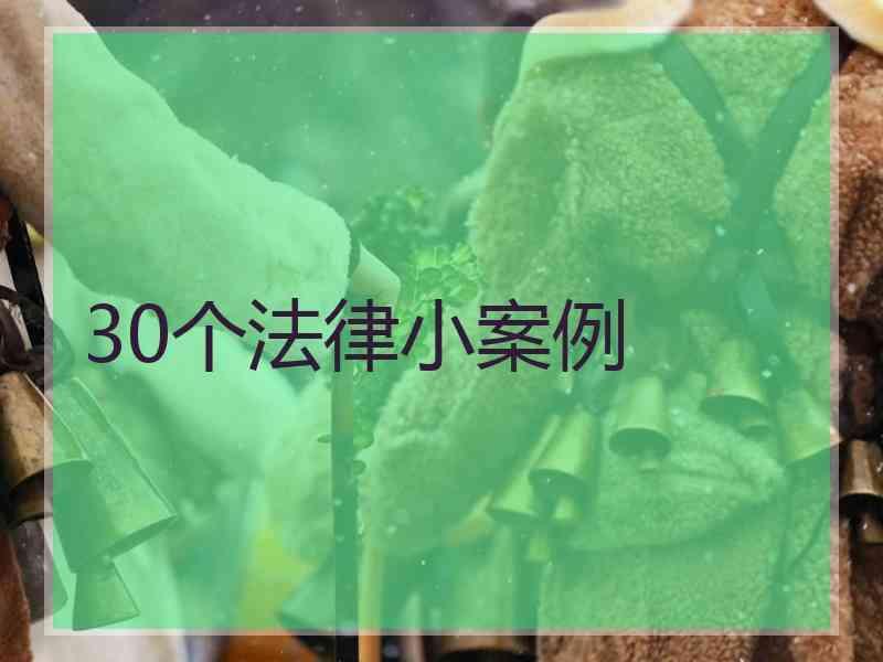 30个法律小案例