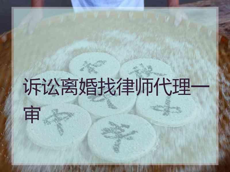 诉讼离婚找律师代理一审