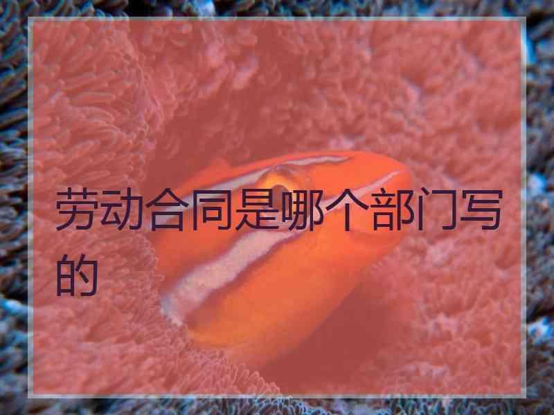 劳动合同是哪个部门写的