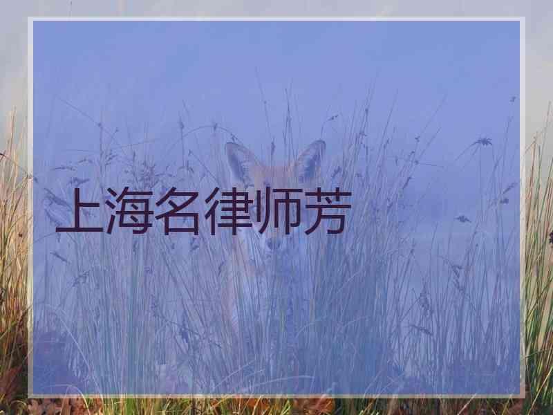 上海名律师芳