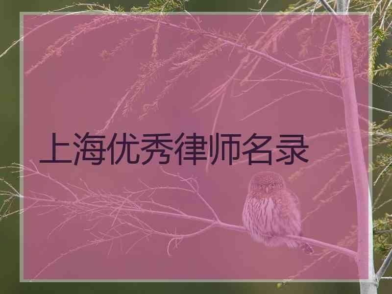 上海优秀律师名录