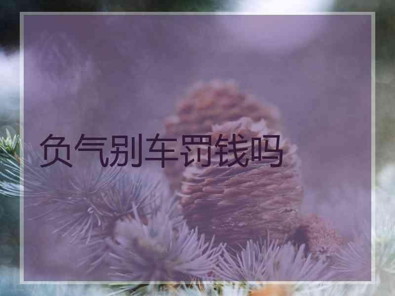 负气别车罚钱吗