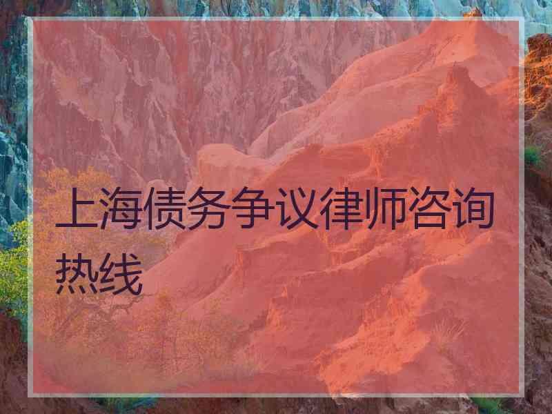 上海债务争议律师咨询热线