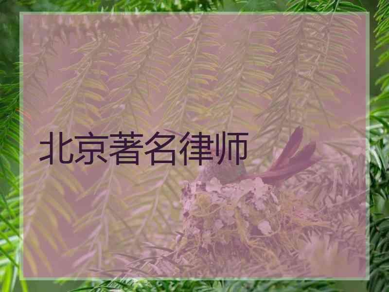 北京著名律师