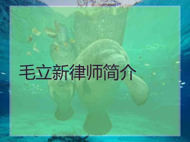 毛立新律师简介