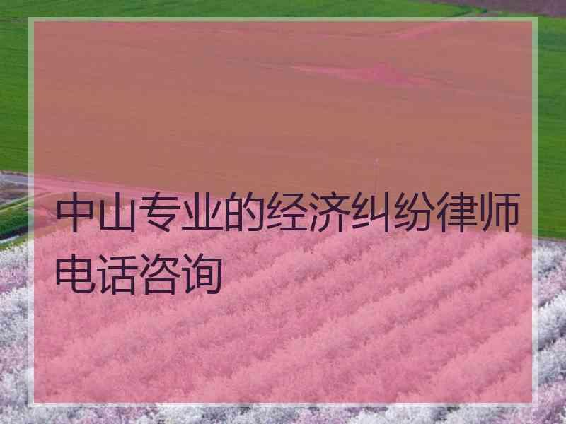 中山专业的经济纠纷律师电话咨询