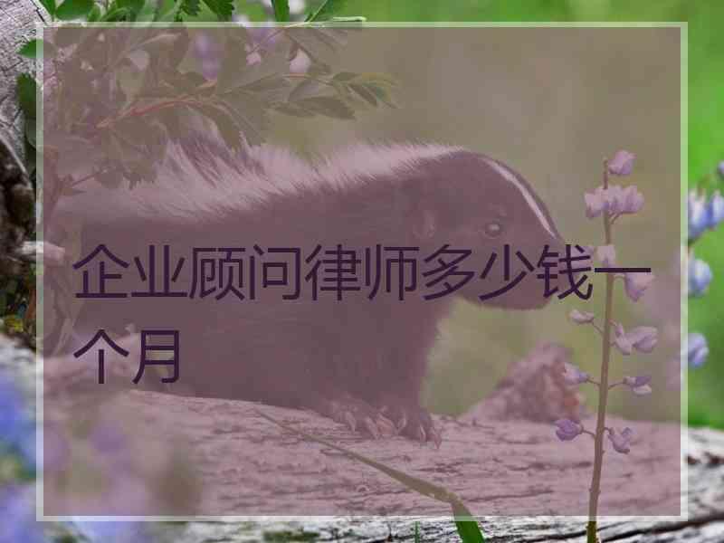 企业顾问律师多少钱一个月