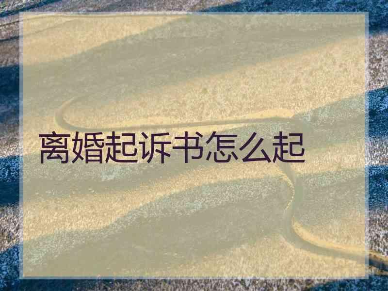 离婚起诉书怎么起