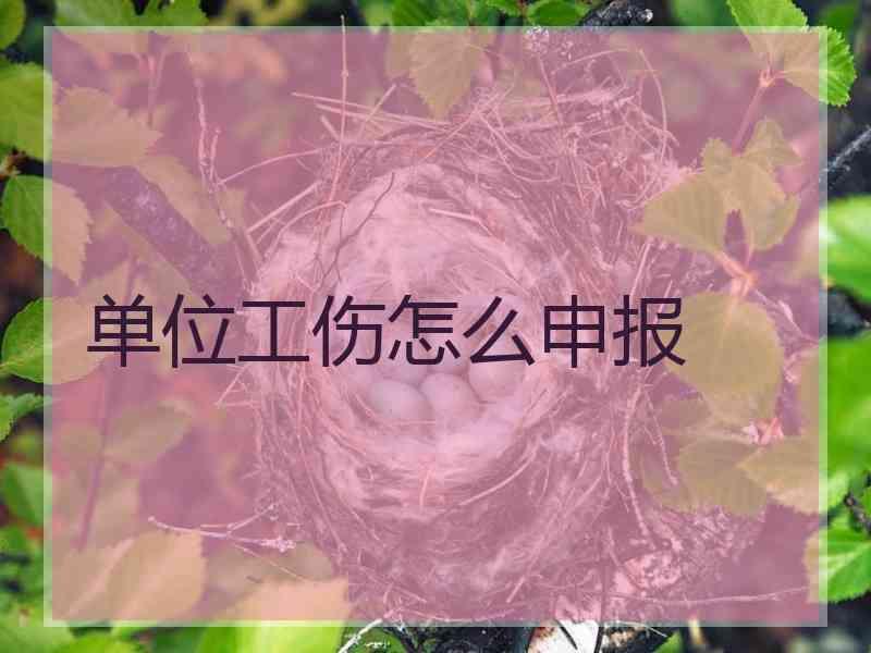 单位工伤怎么申报