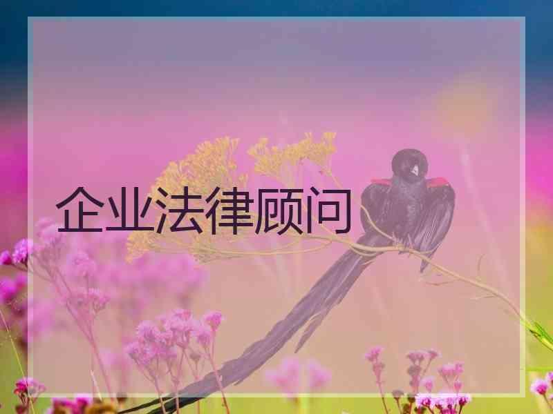 企业法律顾问