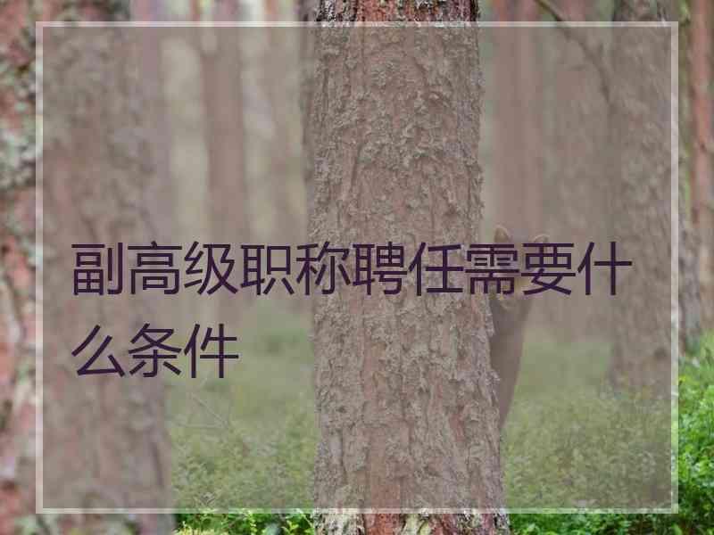 副高级职称聘任需要什么条件