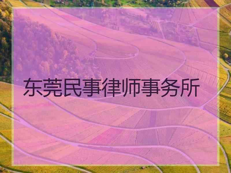 东莞民事律师事务所