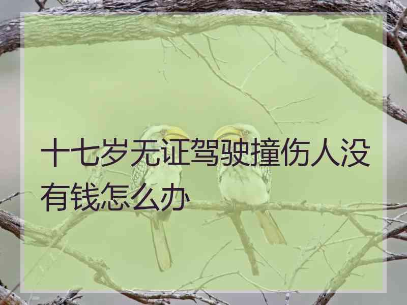 十七岁无证驾驶撞伤人没有钱怎么办