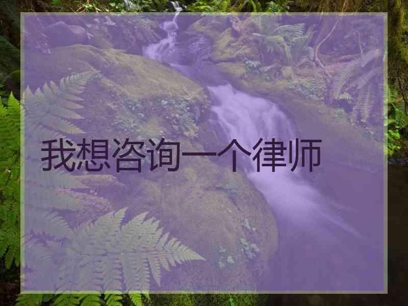 我想咨询一个律师