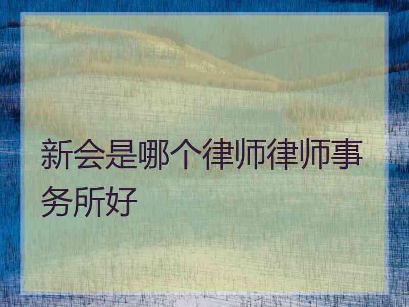 新会是哪个律师律师事务所好