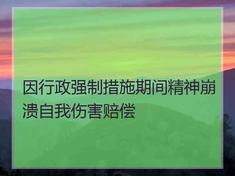 因行政强制措施期间精神崩溃自我伤害赔偿