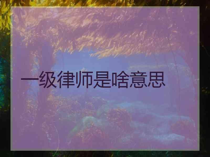 一级律师是啥意思