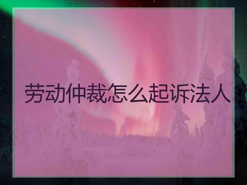 劳动仲裁怎么起诉法人