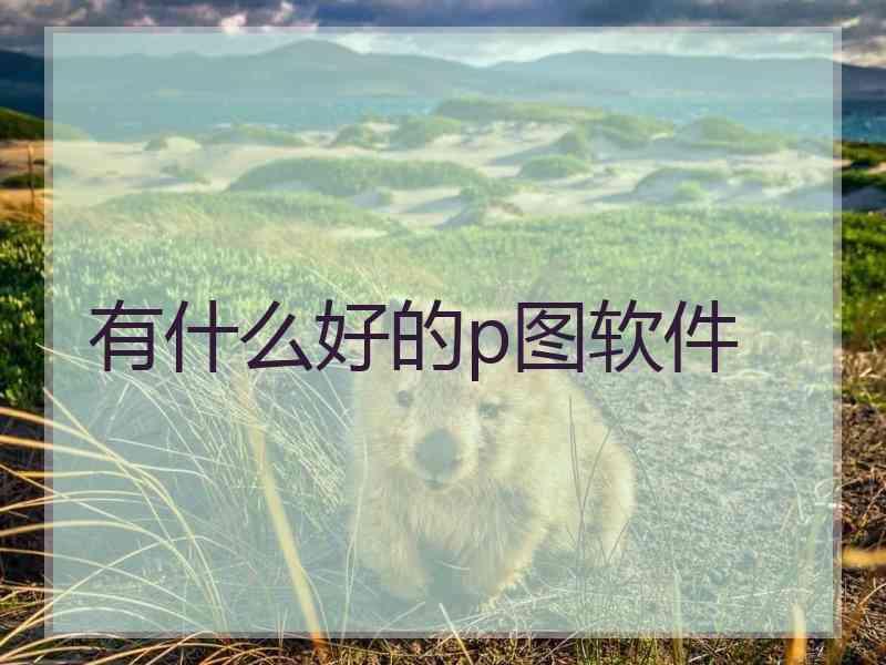 有什么好的p图软件