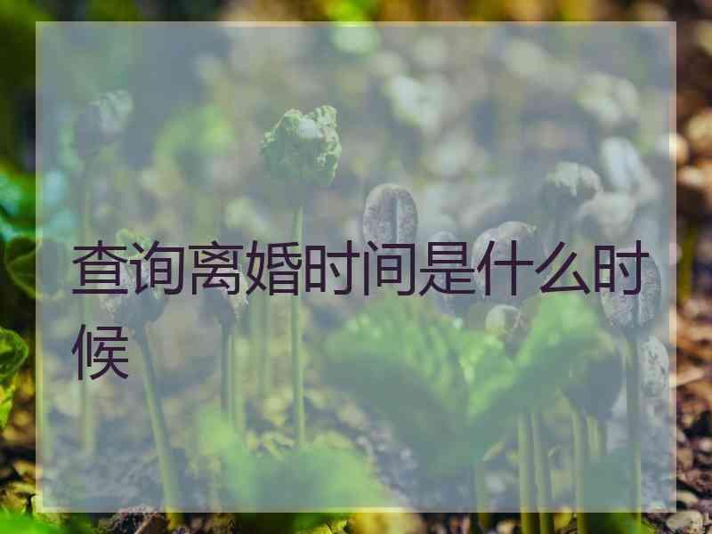 查询离婚时间是什么时候