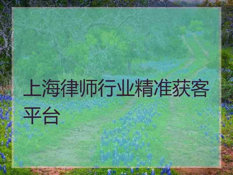 上海律师行业精准获客平台