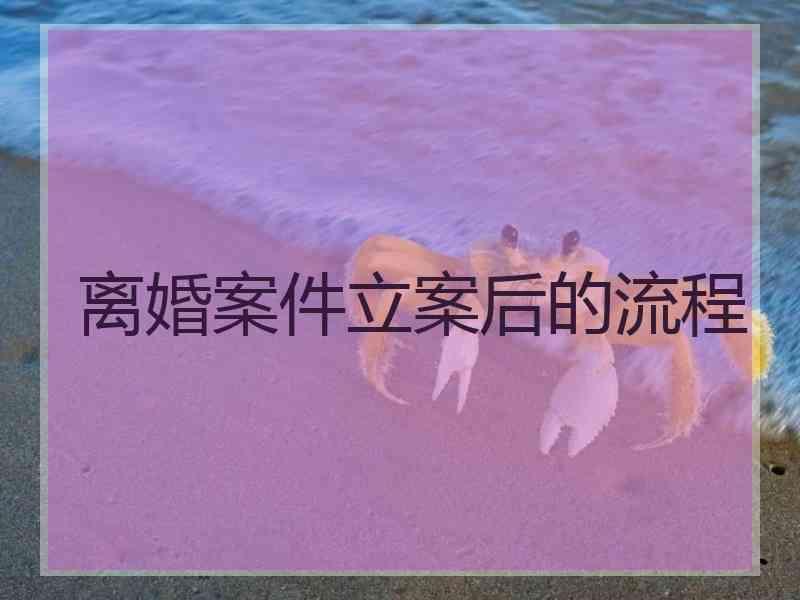 离婚案件立案后的流程