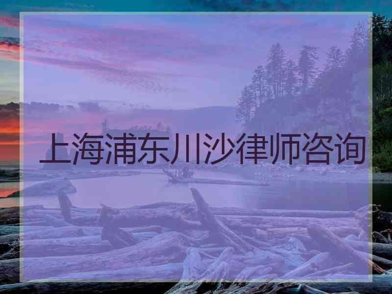 上海浦东川沙律师咨询