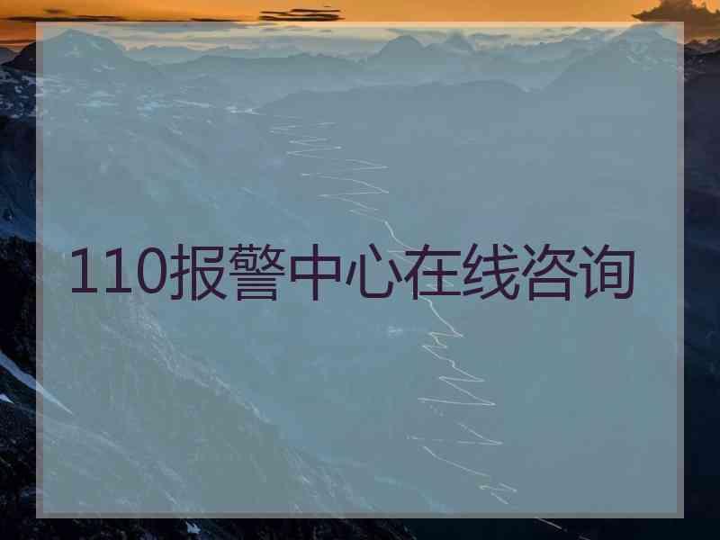 110报警中心在线咨询