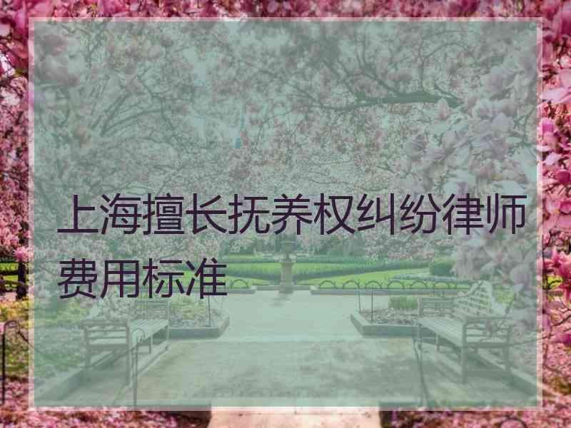 上海擅长抚养权纠纷律师费用标准