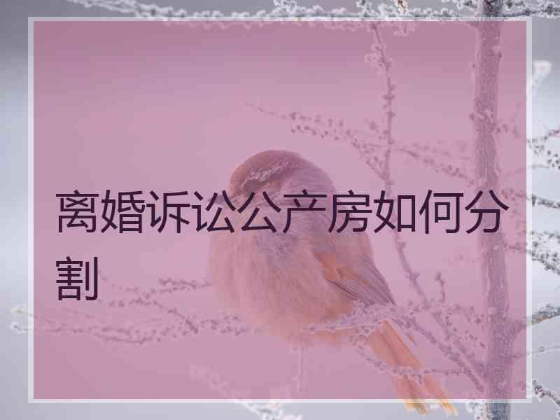 离婚诉讼公产房如何分割