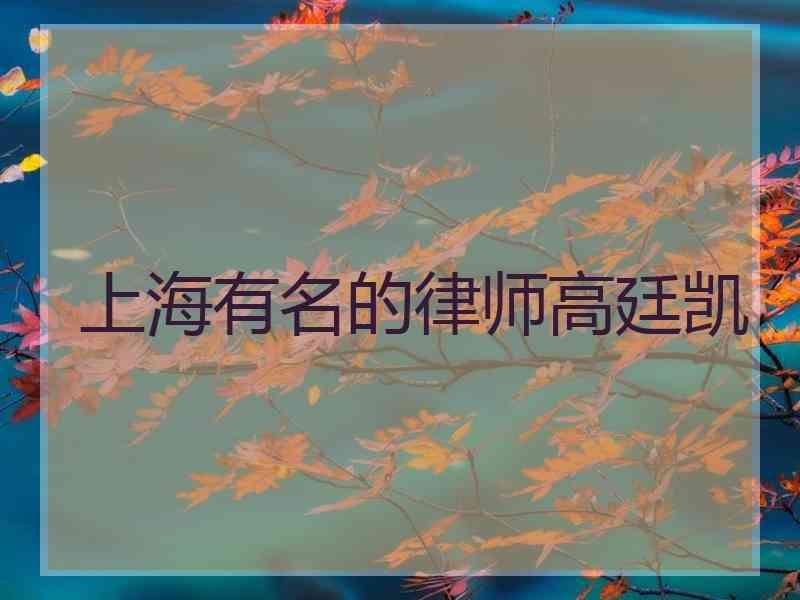 上海有名的律师高廷凯