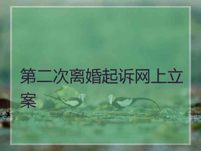 第二次离婚起诉网上立案
