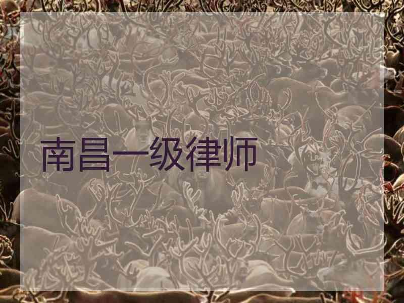 南昌一级律师