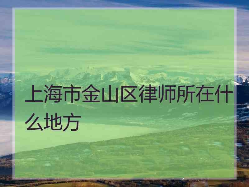 上海市金山区律师所在什么地方