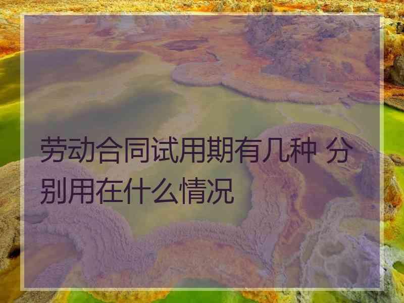 劳动合同试用期有几种 分别用在什么情况