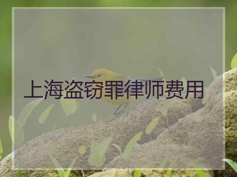 上海盗窃罪律师费用