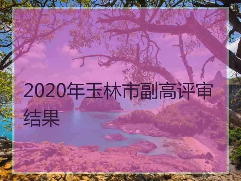 2020年玉林市副高评审结果