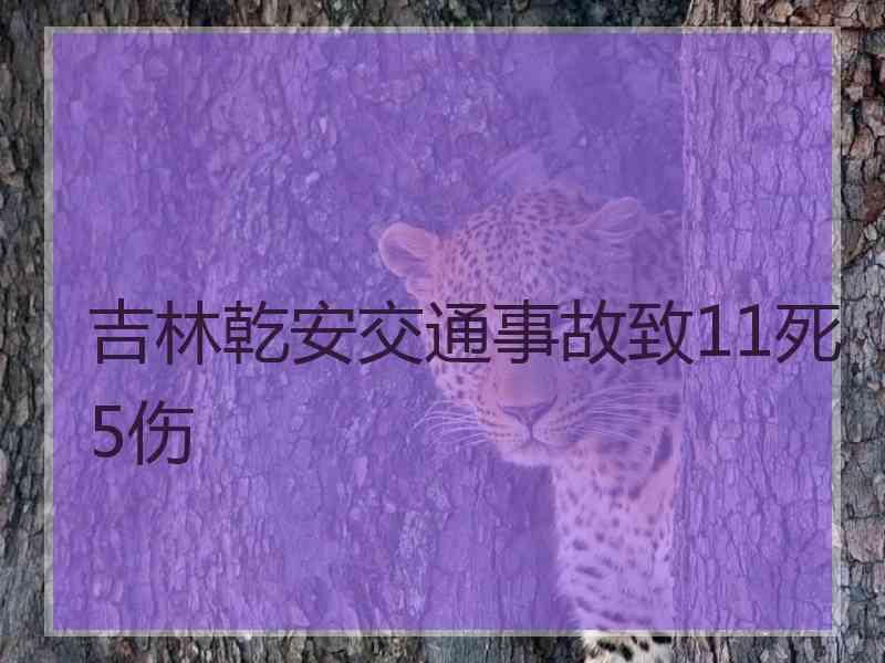 吉林乾安交通事故致11死5伤